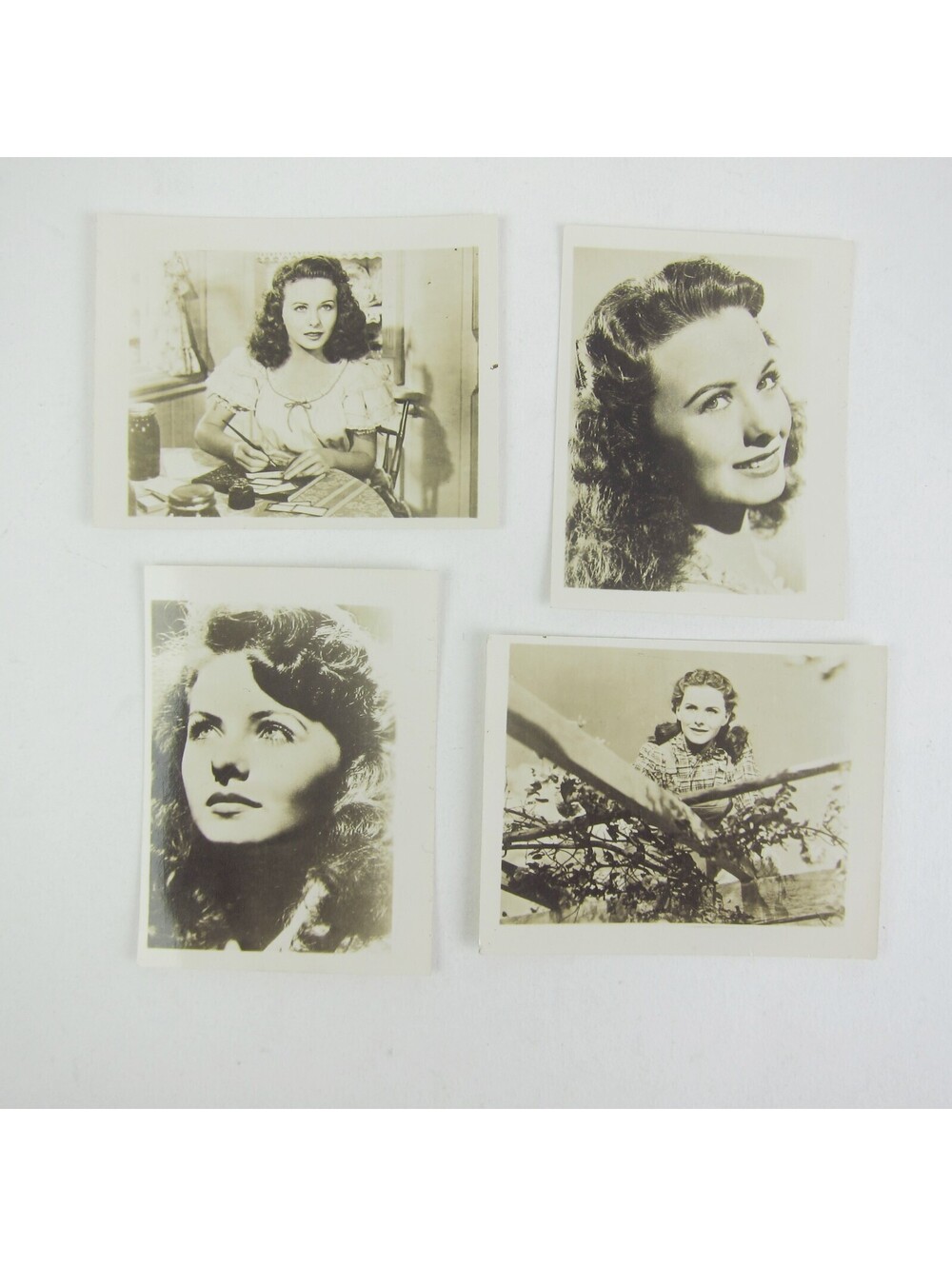 Jeanne Craine Photographs Lot of 4 Hollywood Actress Movie Star Vintage 1940s